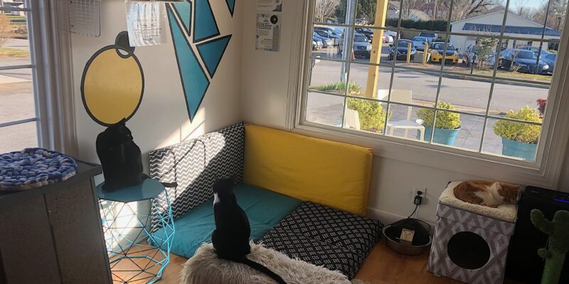 Purr Cup Cafe Opens in Downtown Raleigh