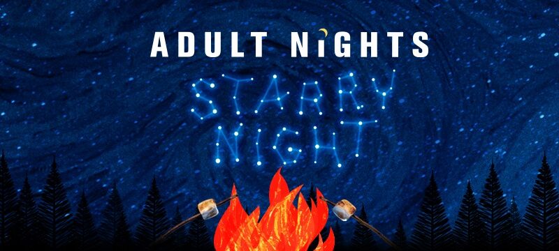 Adult Nights Starry Night