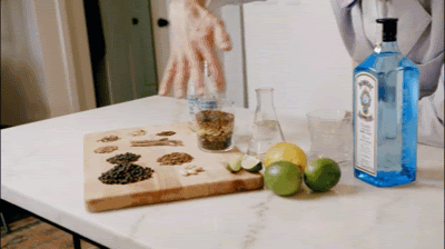 Bill Nye + Gin and Tonic