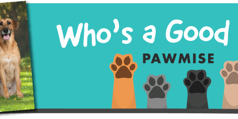 Who a Good Dog Town of Cary Contest