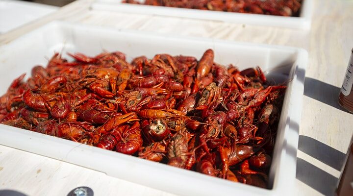 Heyday Brewing Crawfish Boil