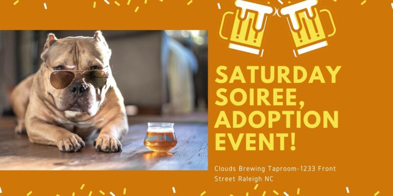 Cause for Paws Adoption Event