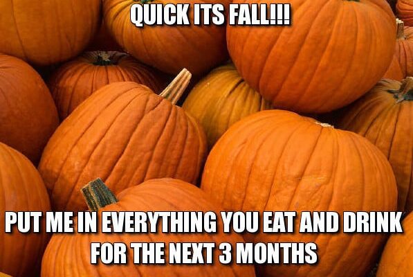 Pumpkin Season in Raleigh NC