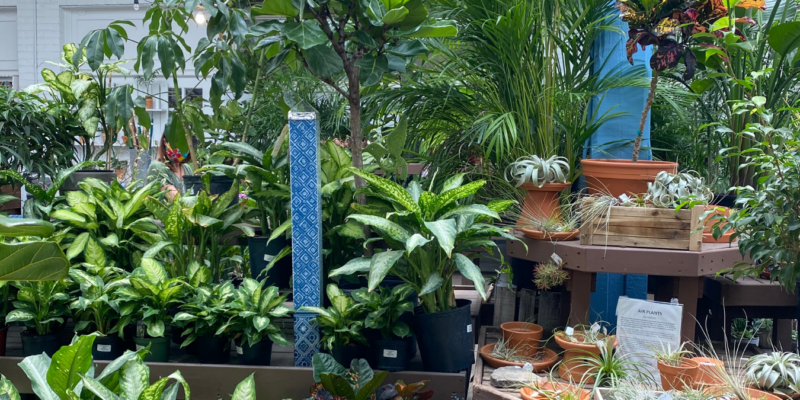 Logan's One Stop Garden Shop