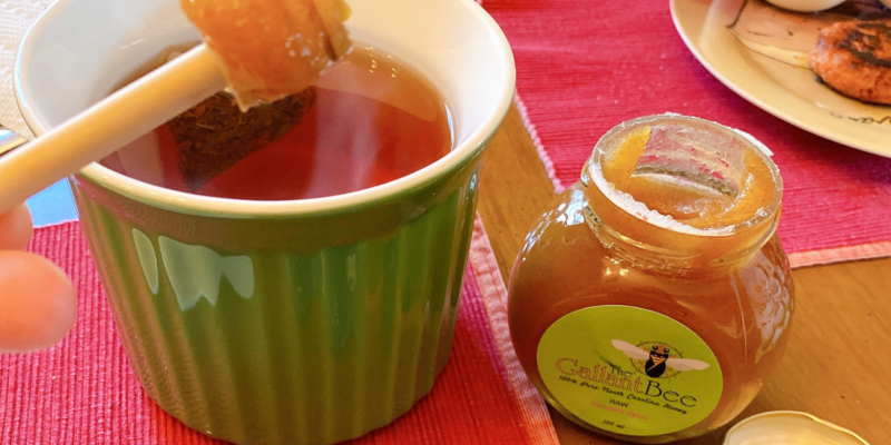 Lisa's Favorite Hot Teas in Raleigh