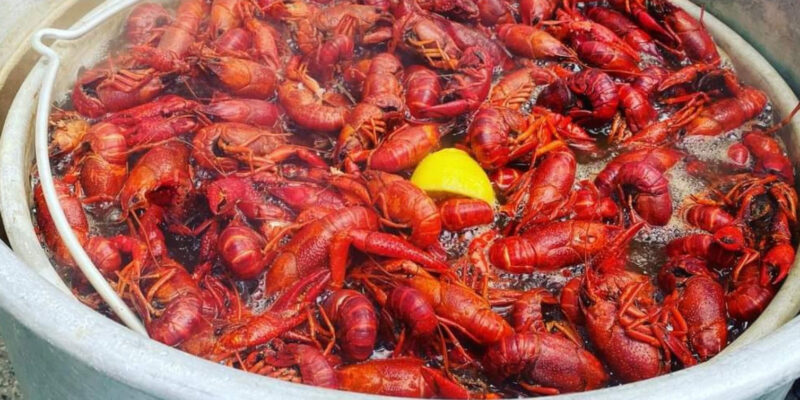Sharky's Annual Crawfish Boil