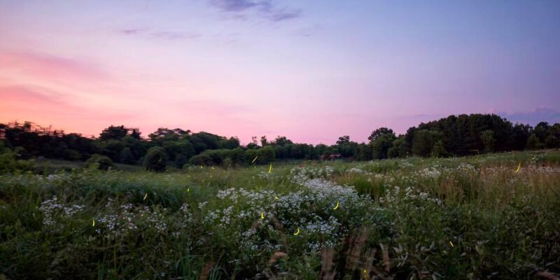 Prairie Road Ecostation