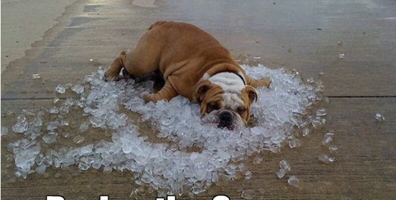 Hot Summer Meme