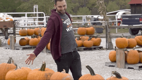 Happy Fall Pumpkin Patch Gif