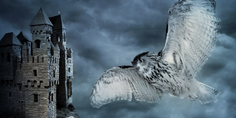 The Music of Harry Potter NC Symphony