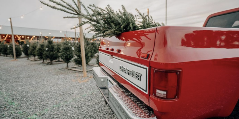 Christmas Phillips Farms of Cary