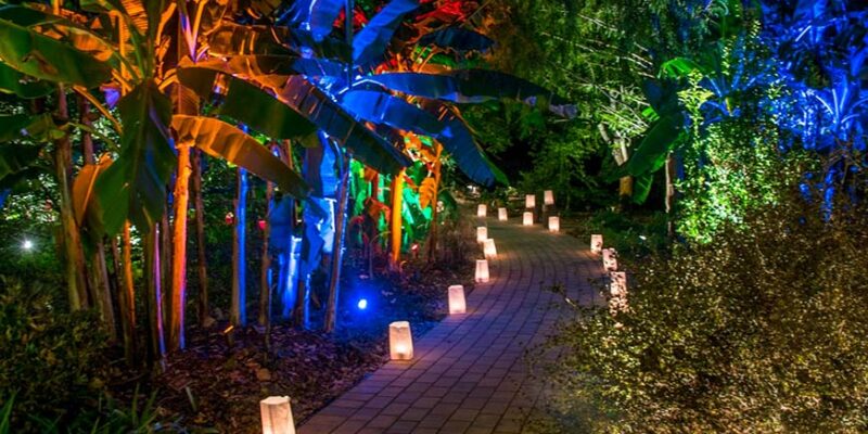 JC Raulston Moonlight in the Garden