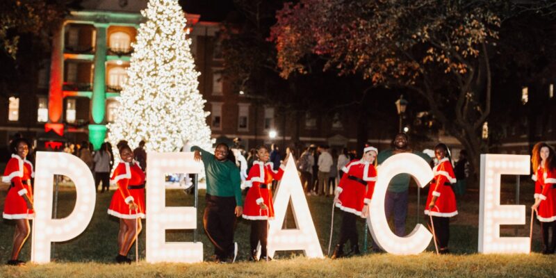 WPU Lawn Lighting Raleigh