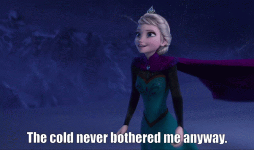frozen-the-cold-never-bothered-me-anyway