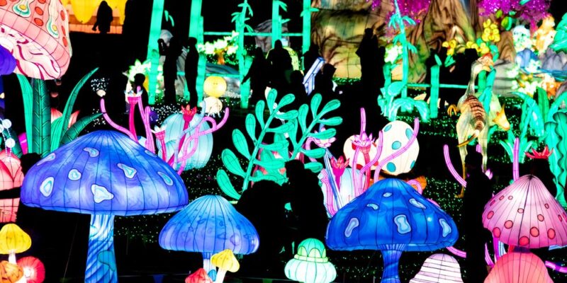 LuminoCity Pullen Park