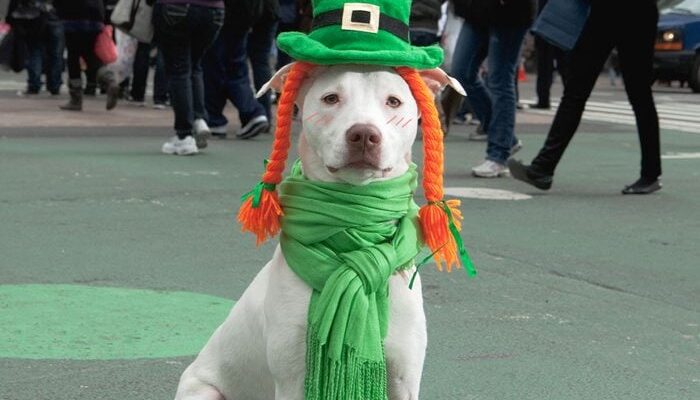 St. Patricks Day Raleigh Weekend