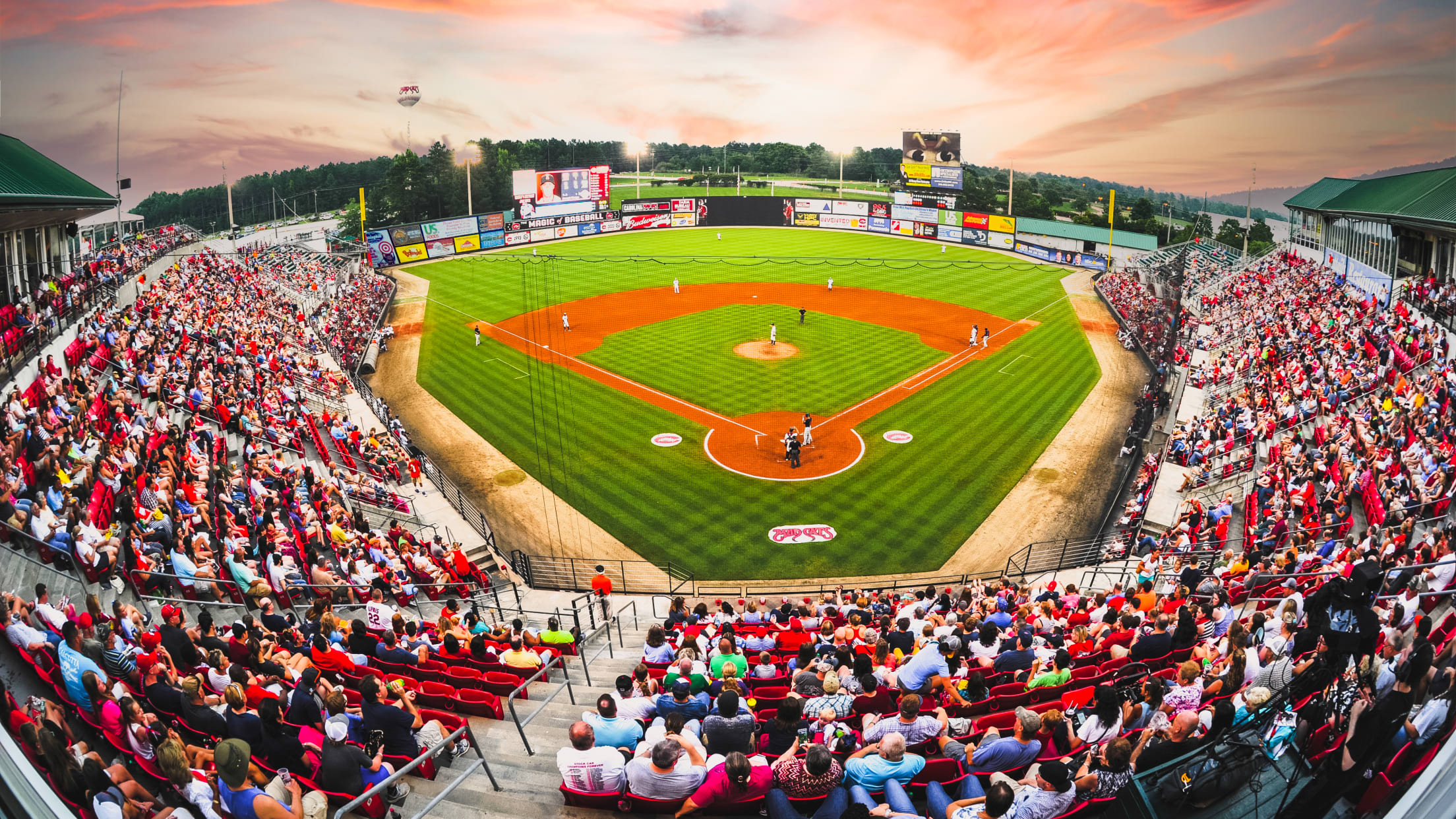 ⚾ Sundays Are for Baseball! - Raleigh Weekend