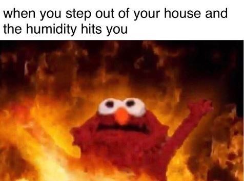 Friday Fiver Summer Humidity Elmo Meme