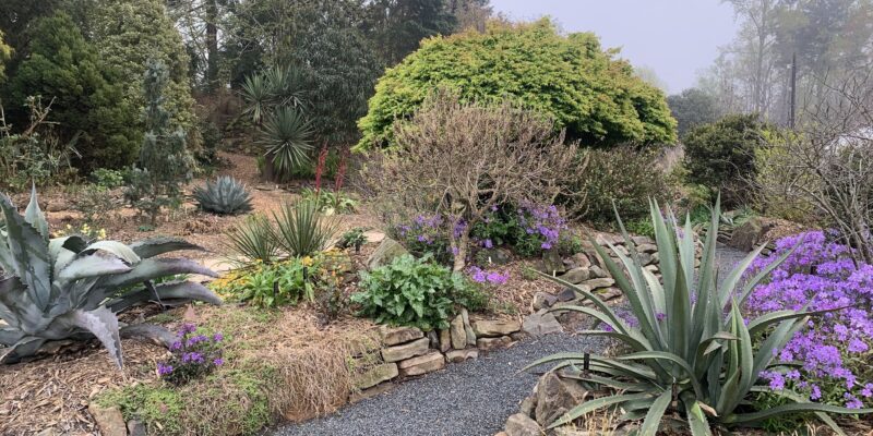 Juniper Level Botanic Garden