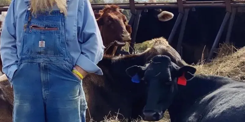 Randy Lewis Fundraiser