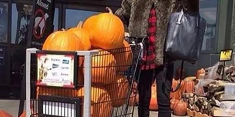 Raleigh Weekend Fall Edition