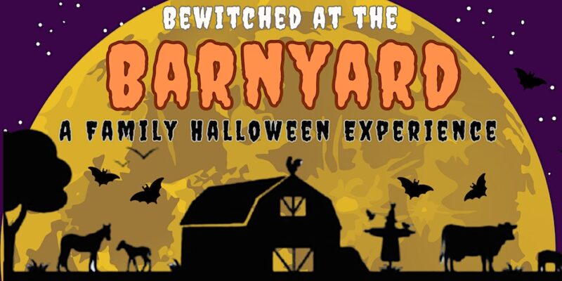 Bewitched at the Barnyard