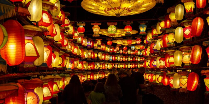 NC Chinese Lantern Festival
