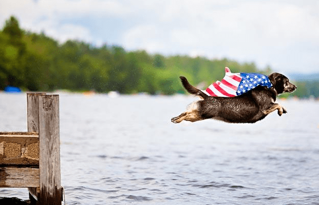 Fourth of July Dog Jumping into Lake