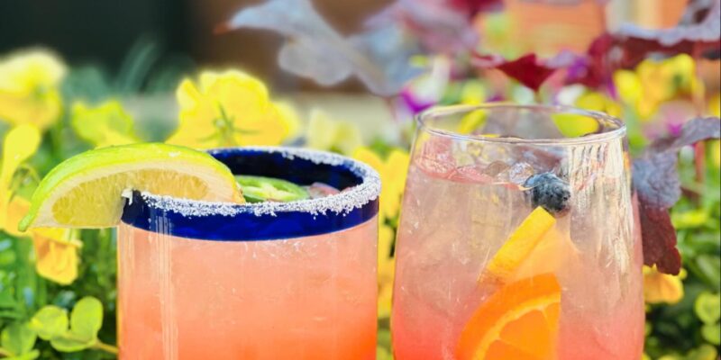 Salt and Lime Cabo Grill Raleigh Margaritas