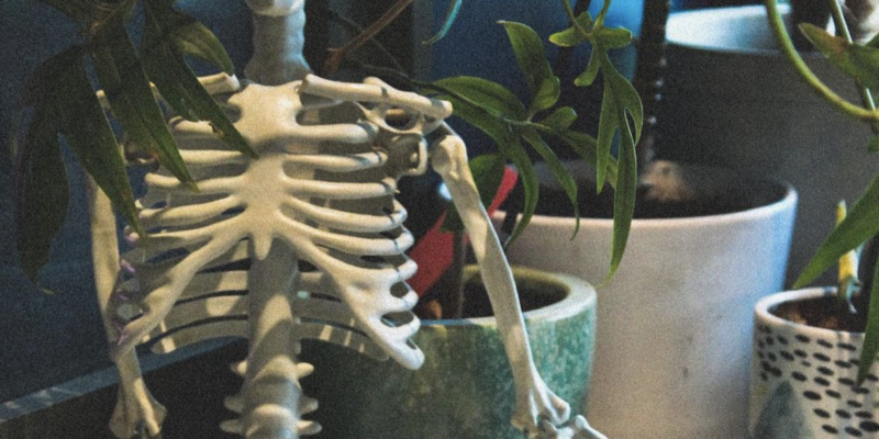 Skeleton sitting next to a latte at The Optimist Raleigh