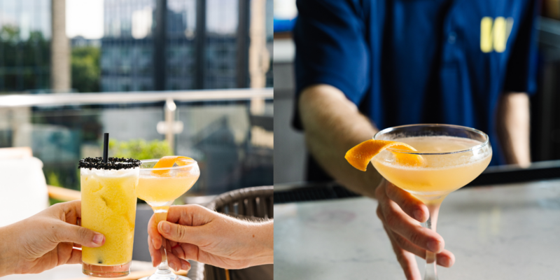 The Willard Cocktail Class