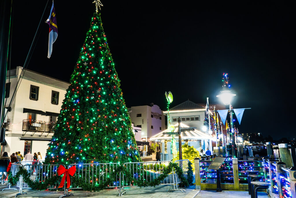 Holidays on Water in Wilmington - Riverfront Christmas Tree Detail