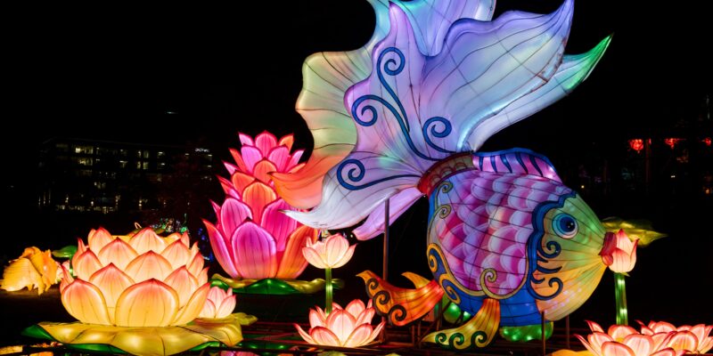 The Chinese Lantern Festival in Cary, NC