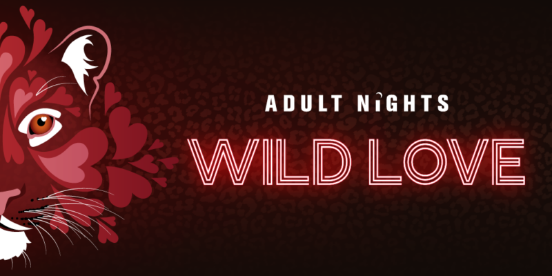 Adult Night Wild Love Event