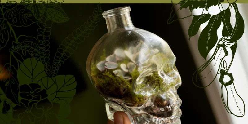 Garden & Gather at Killjoy Event