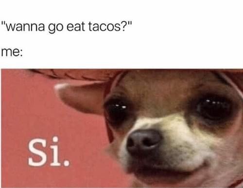 Taco Meme