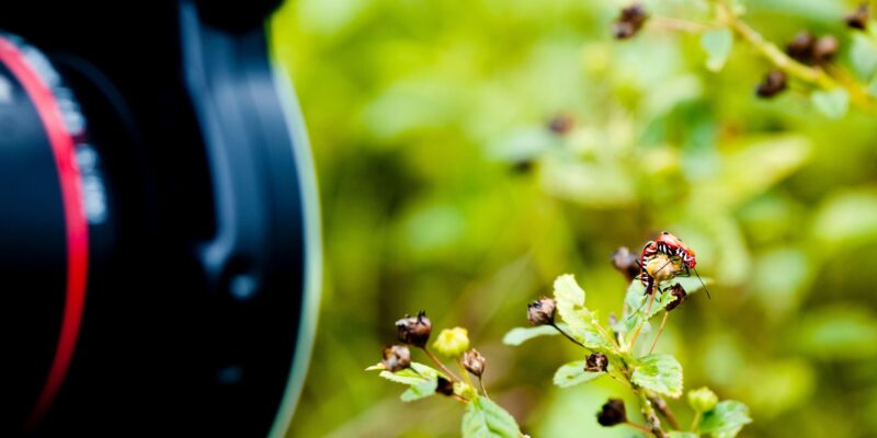 Photography Class in Raleigh