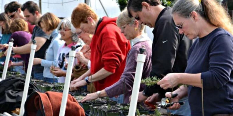 Fairview Garden Center Events