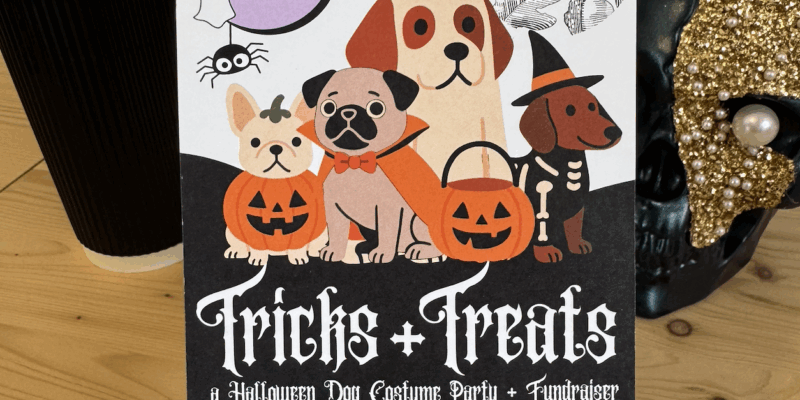 Halloween at Little Native