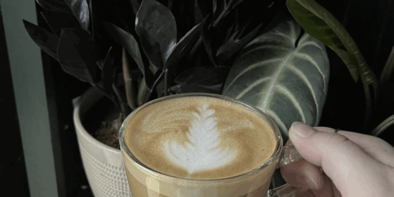 Little Native Coffee