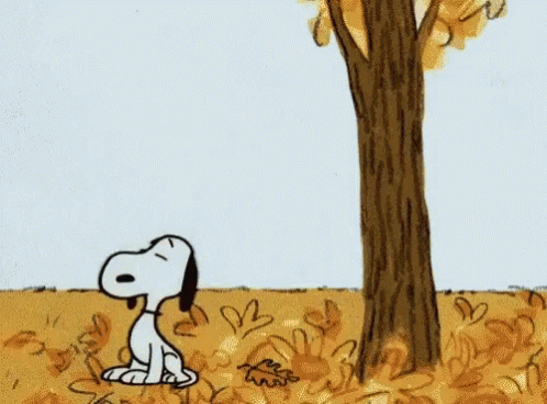 Snoopy Fall GIF