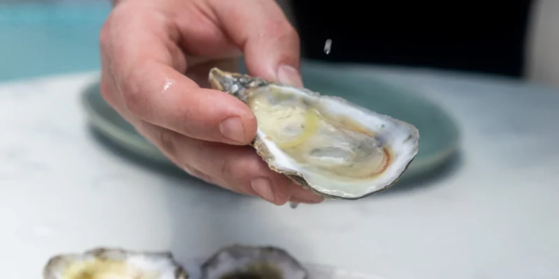 Rawleigh Oyster Fest