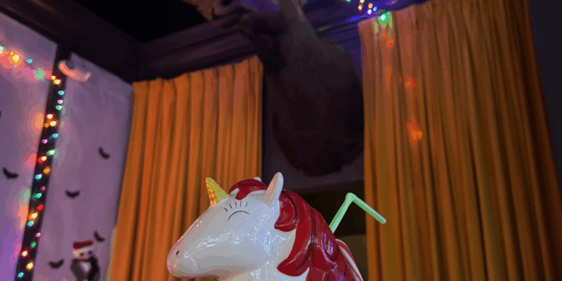 Miracle at The Haymaker