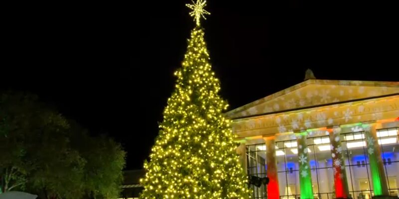 Raleigh Christmas Tree