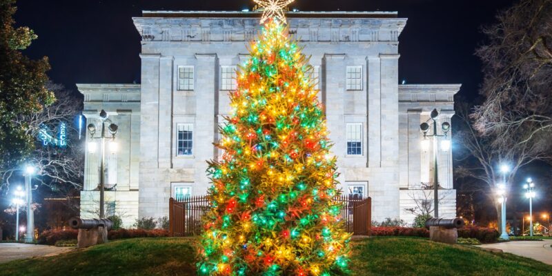downtown raleigh christmas tree