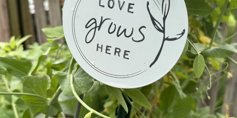 goals in the garden workshop in raleigh