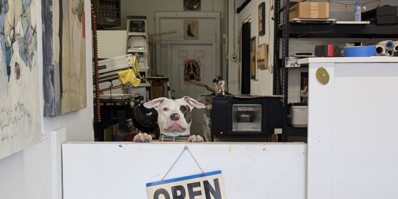 Boylan Heights Art Studio Tour - Image by Crawlspace Press