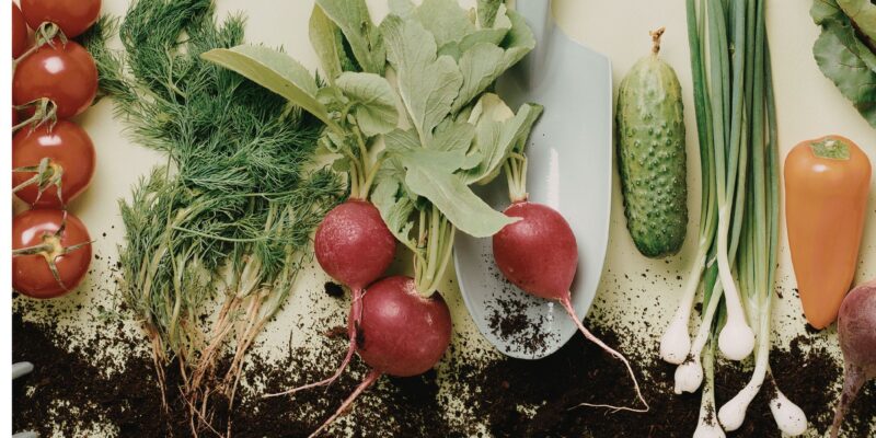 Gardening Events in Raleigh