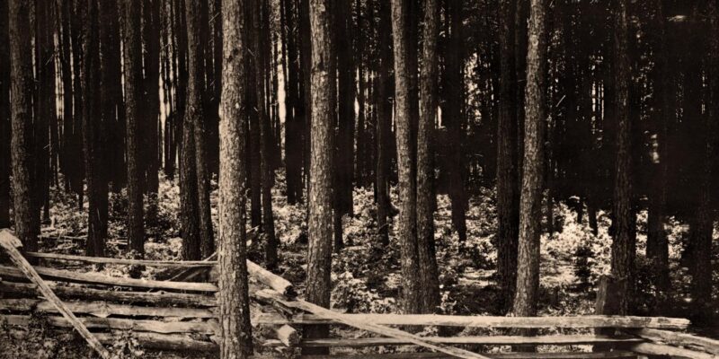 White Deer Park Nature Center Discovery Day